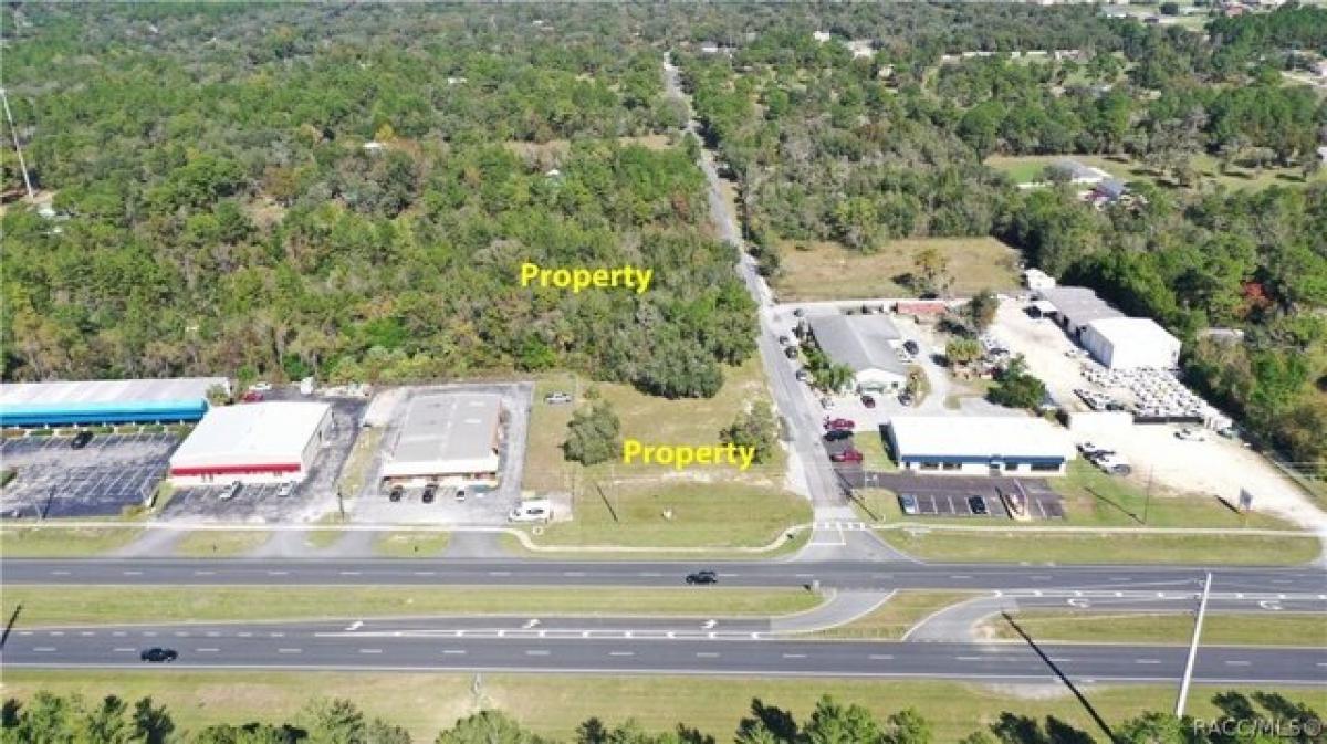 Picture of Residential Land For Sale in Lecanto, Florida, United States