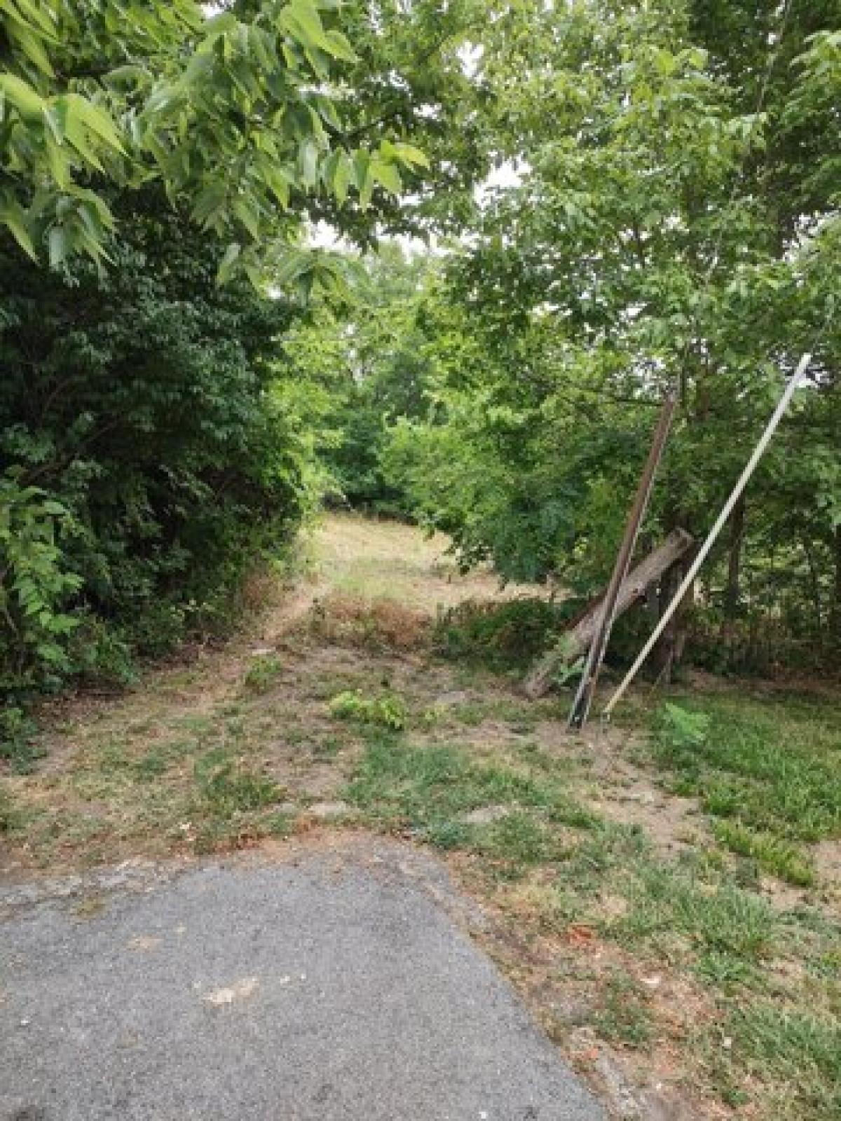 Picture of Residential Land For Sale in Carlisle, Kentucky, United States