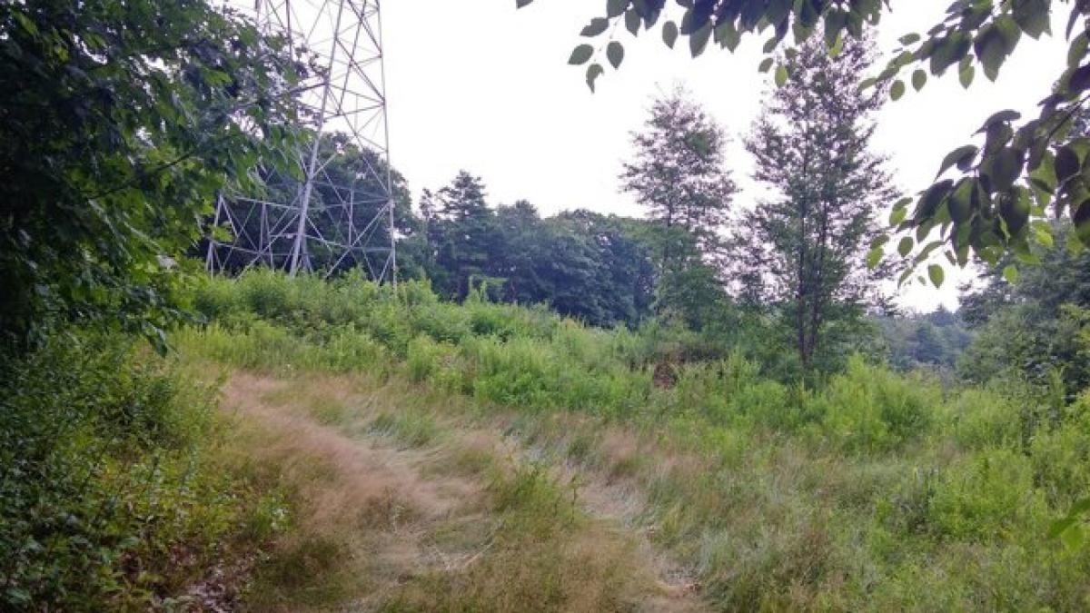 Picture of Residential Land For Sale in Troy, New Hampshire, United States