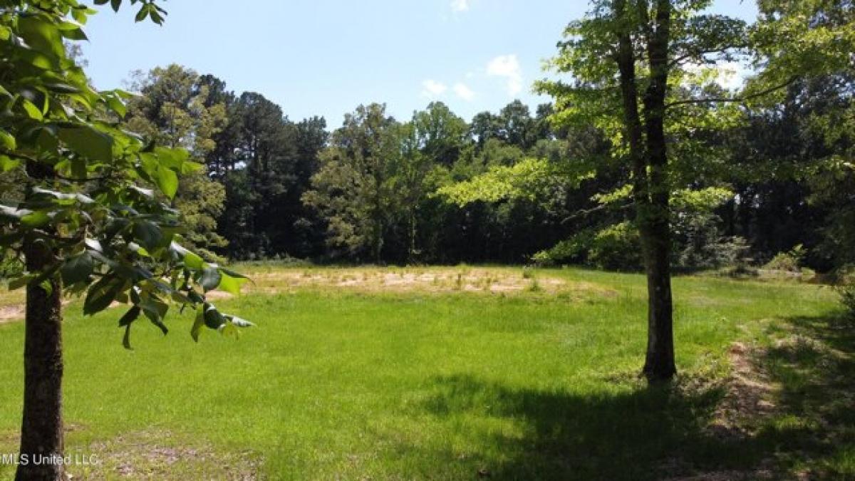 Picture of Residential Land For Sale in Brandon, Mississippi, United States