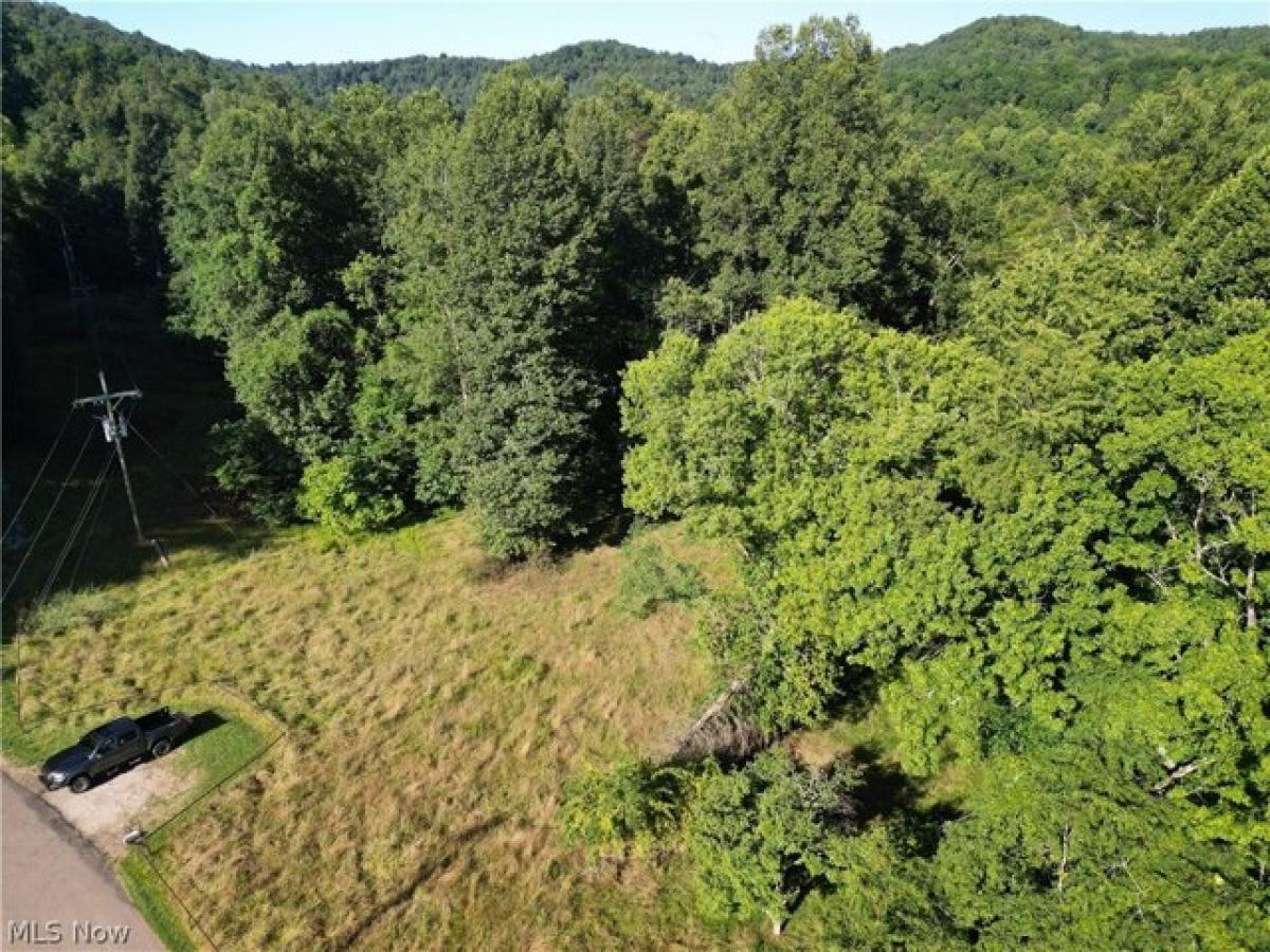 Picture of Residential Land For Sale in Grantsville, West Virginia, United States