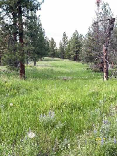 Residential Land For Sale in Missoula, Montana