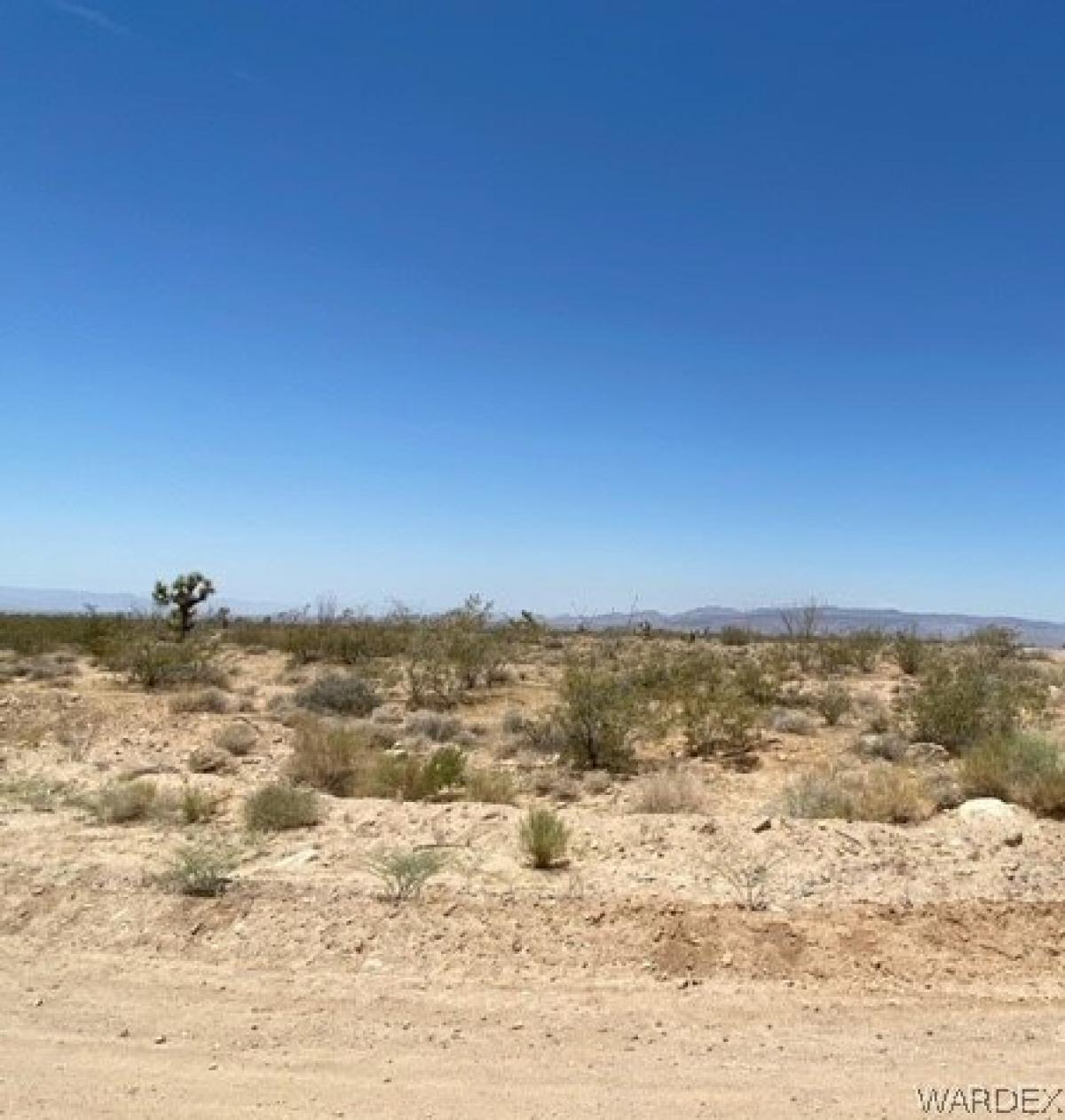 Picture of Residential Land For Sale in Yucca, Arizona, United States