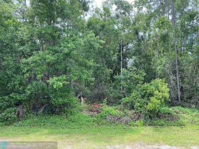 Residential Land For Sale in Indian Lake Estates, Florida