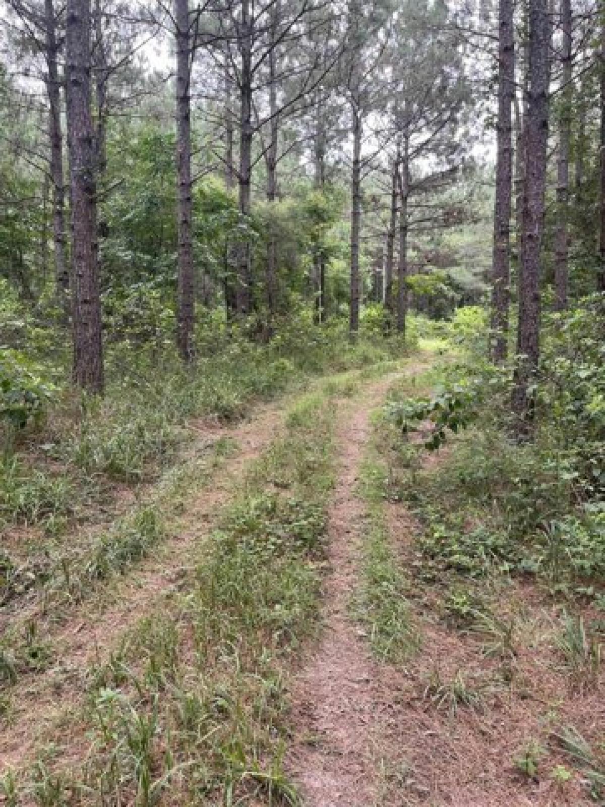 Picture of Residential Land For Sale in El Dorado, Arkansas, United States