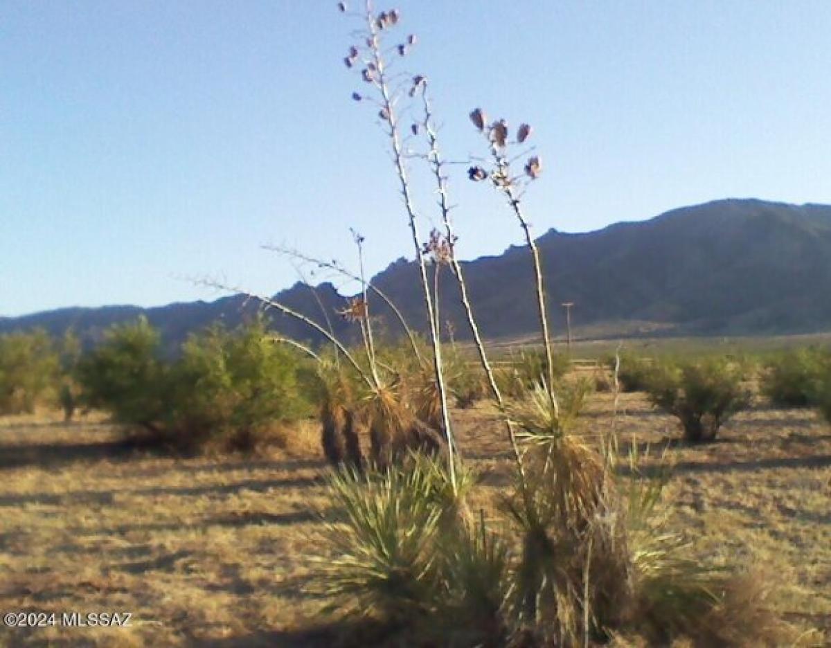 Picture of Residential Land For Sale in Cochise, Arizona, United States