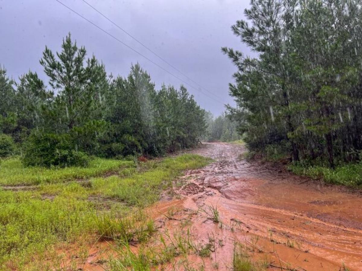 Picture of Residential Land For Sale in Crockett, Texas, United States