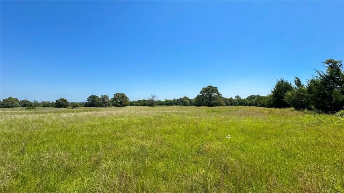 Picture of Residential Land For Sale in Paris, Texas, United States