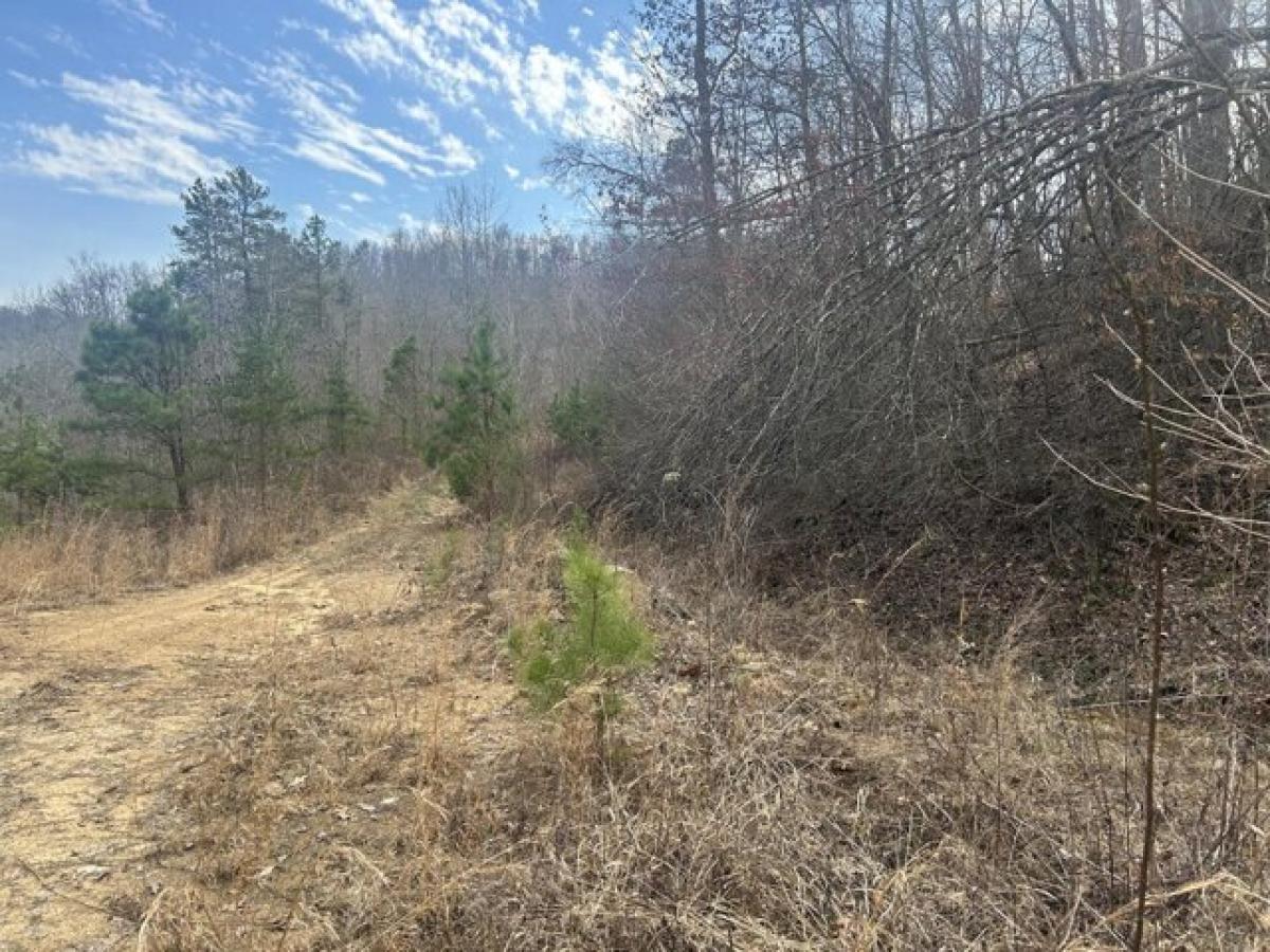 Picture of Residential Land For Sale in Blaine, Kentucky, United States