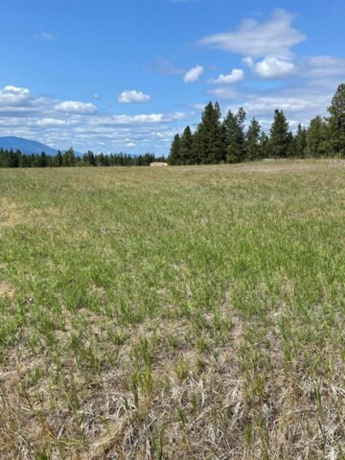 Picture of Residential Land For Sale in Eureka, Montana, United States