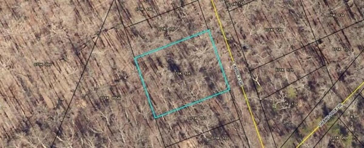 Picture of Residential Land For Rent in Martin, Georgia, United States