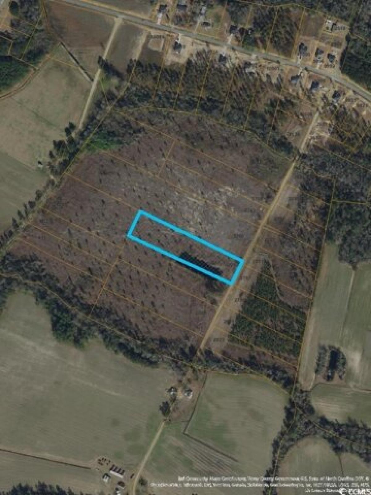 Picture of Residential Land For Sale in Loris, South Carolina, United States