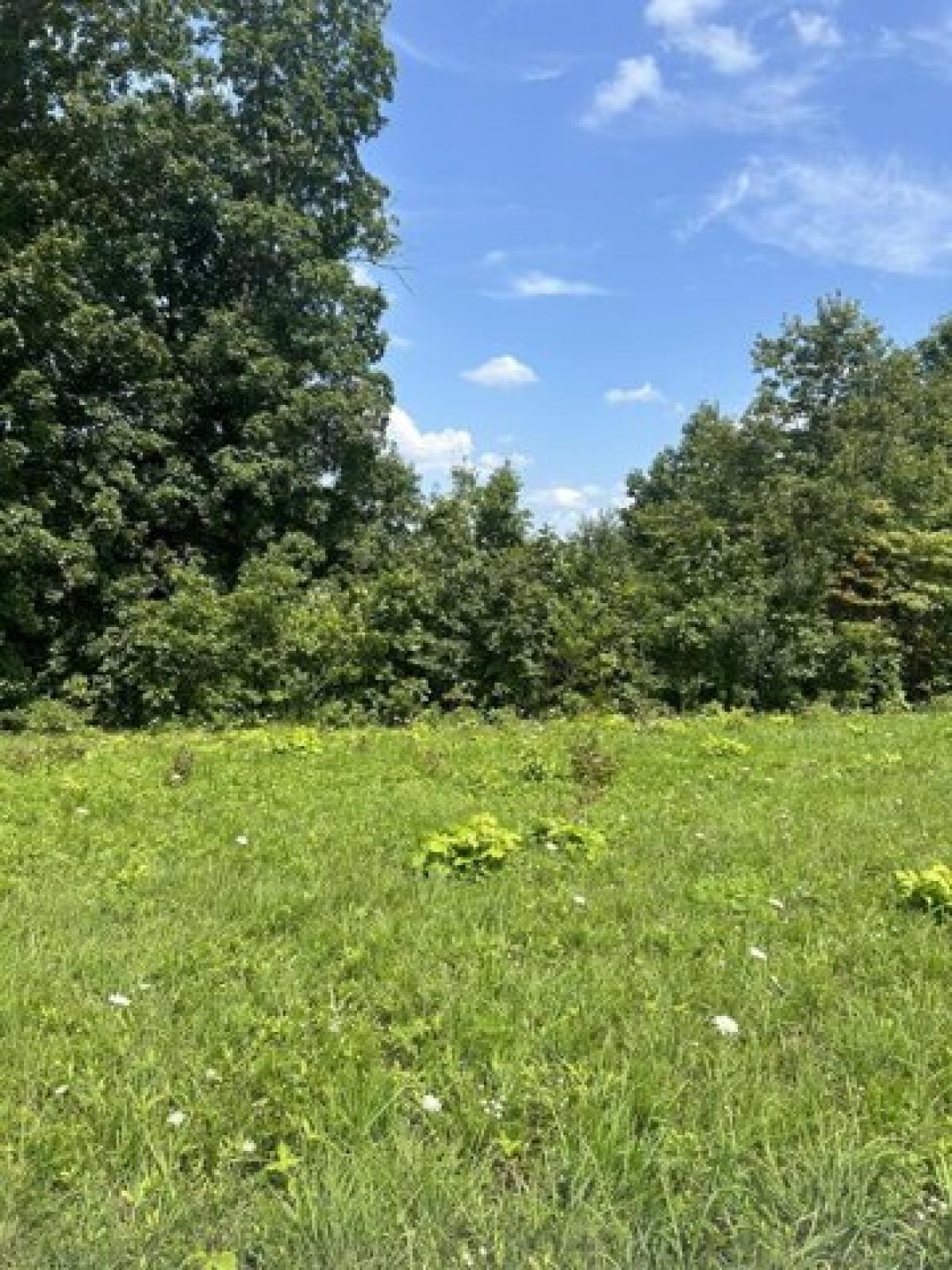 Picture of Residential Land For Sale in Nancy, Kentucky, United States