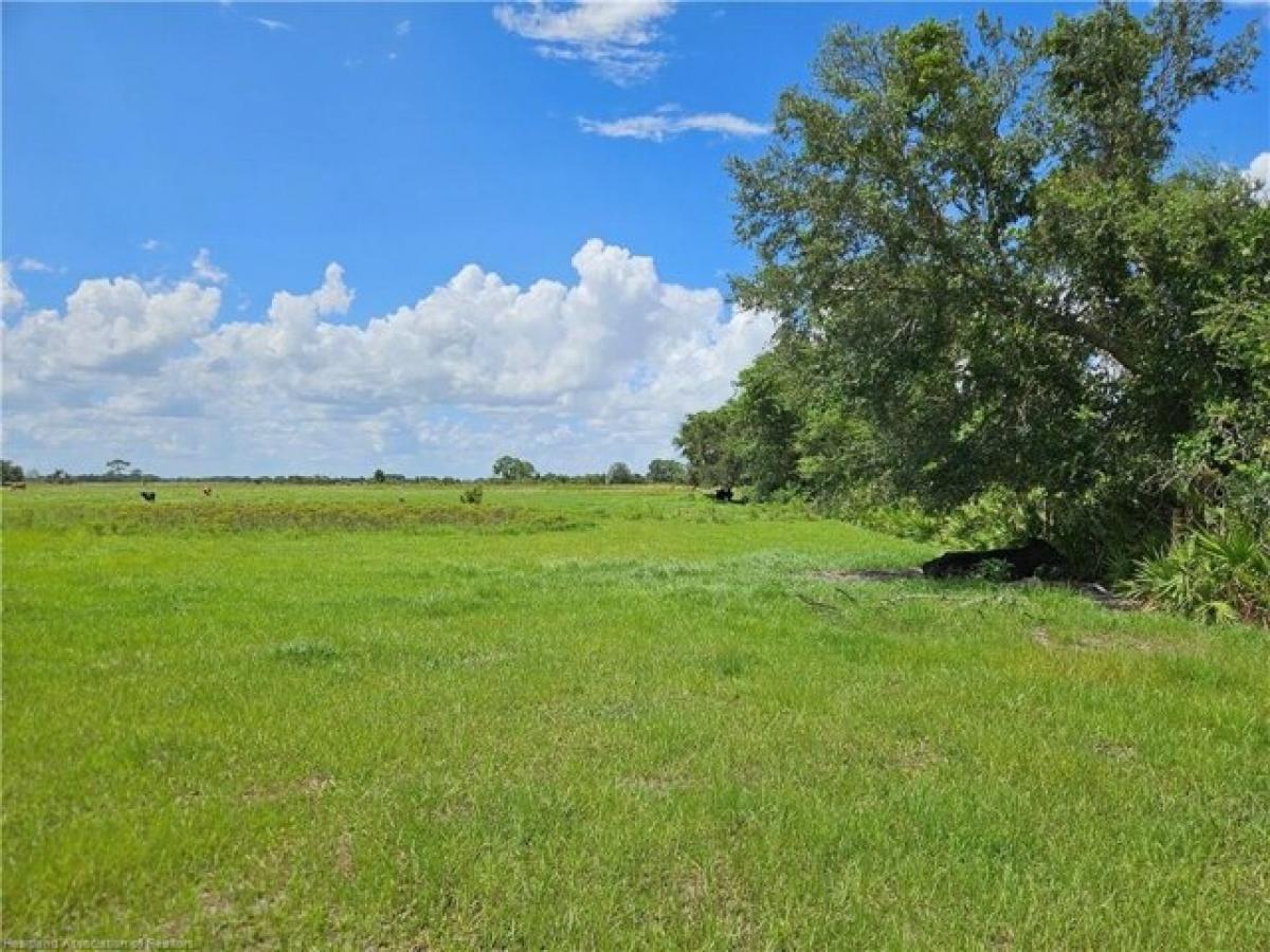 Picture of Residential Land For Sale in Venus, Florida, United States