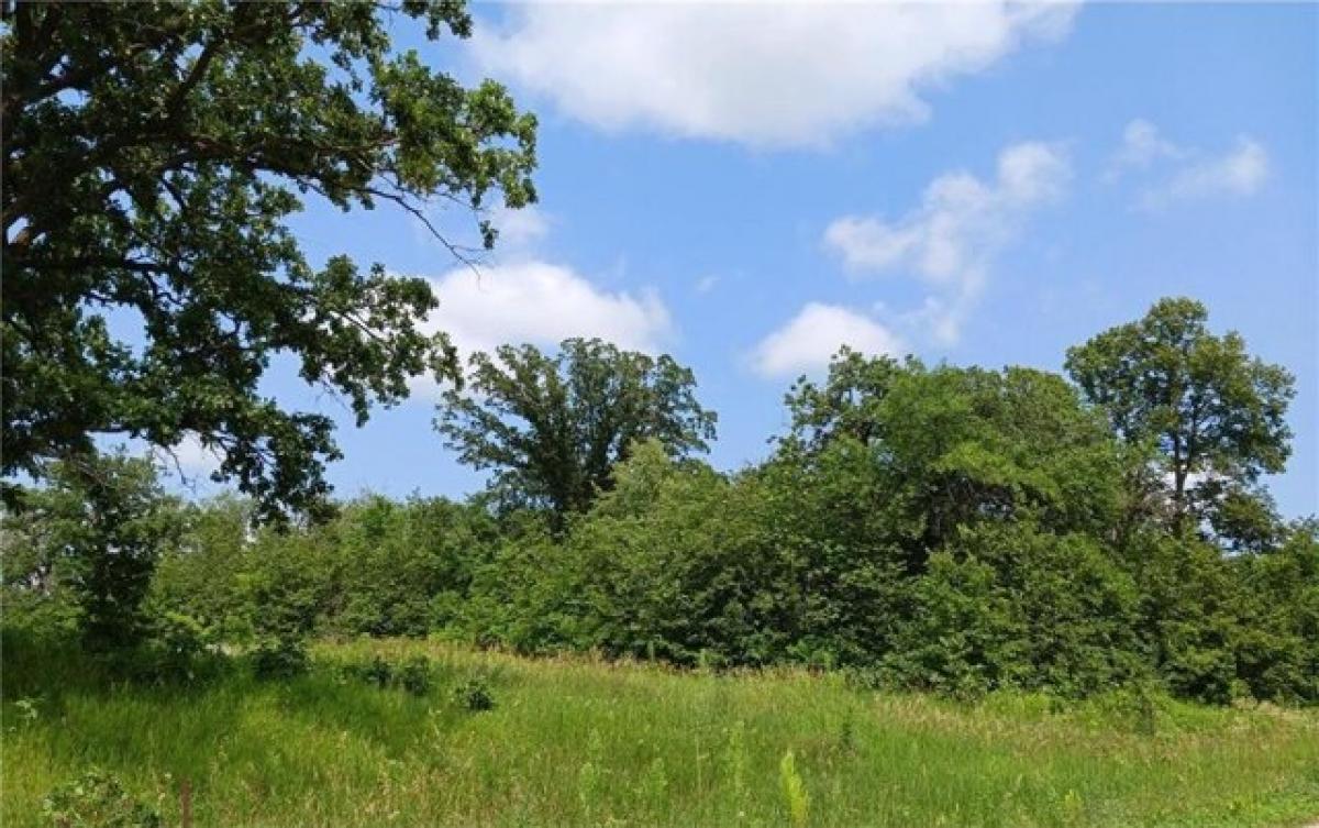 Picture of Residential Land For Sale in Elizabeth, Minnesota, United States