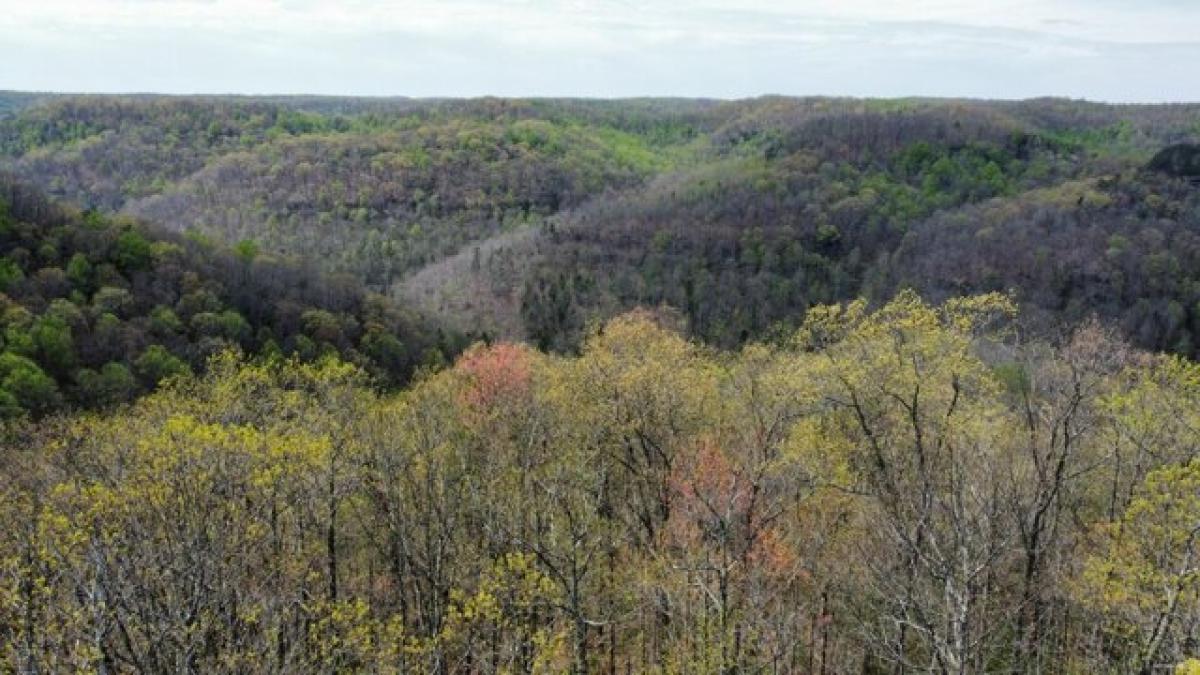 Picture of Residential Land For Sale in Frenchburg, Kentucky, United States