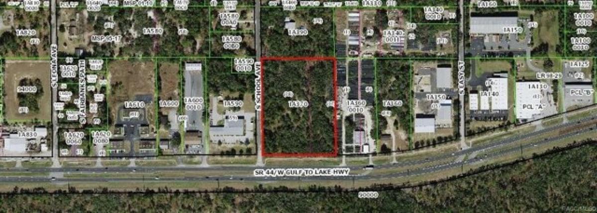 Picture of Residential Land For Sale in Lecanto, Florida, United States