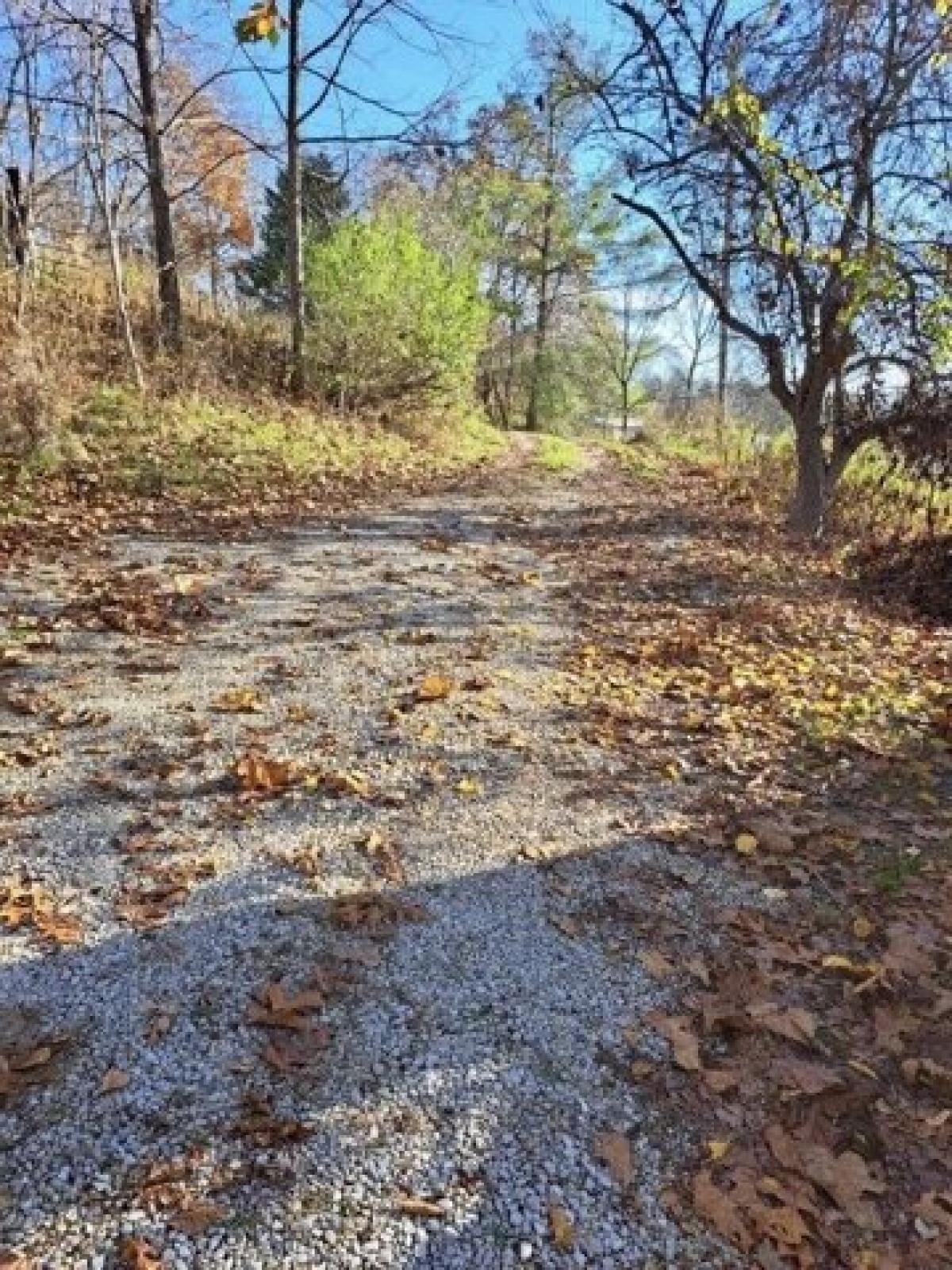 Picture of Home For Sale in Louisa, Kentucky, United States