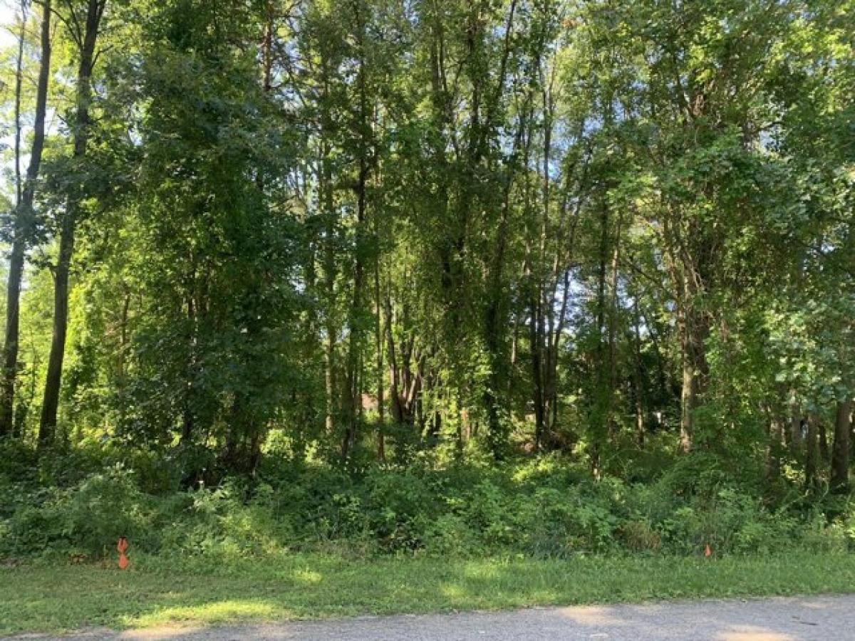 Picture of Residential Land For Sale in Gobles, Michigan, United States