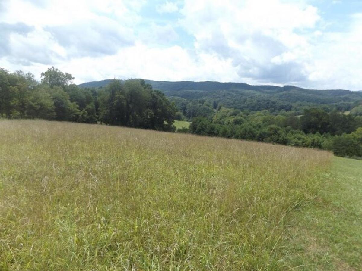 Picture of Residential Land For Sale in Hiwassee, Virginia, United States