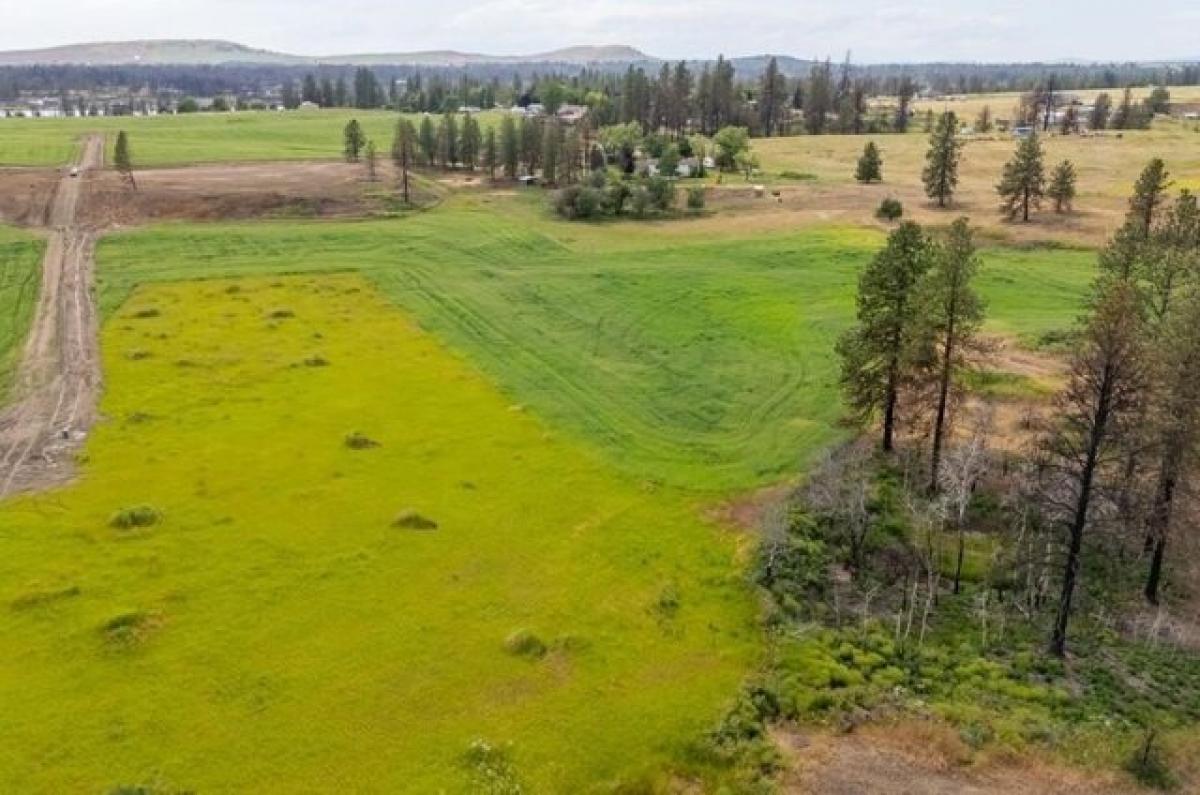 Picture of Residential Land For Sale in Medical Lake, Washington, United States