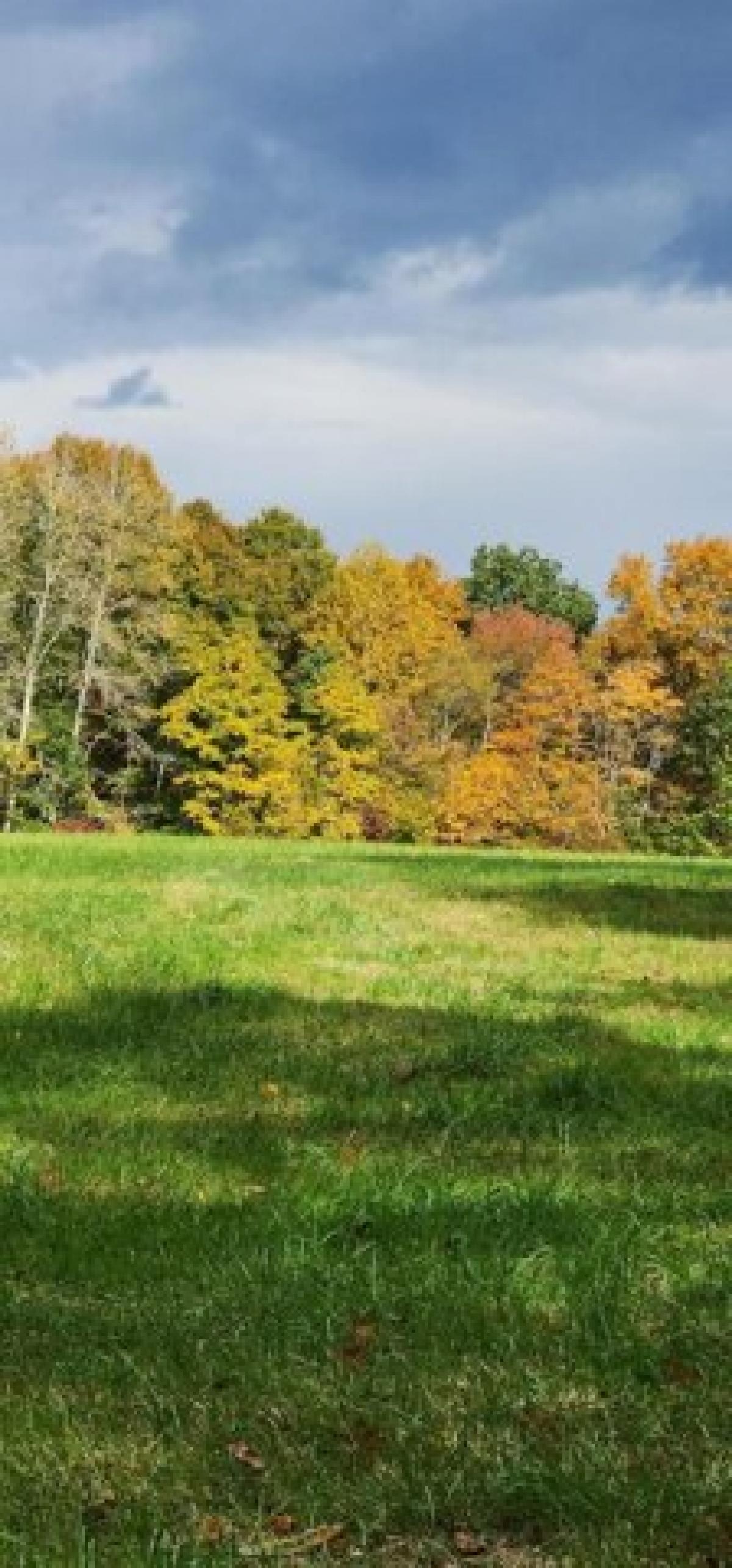 Picture of Home For Sale in Science Hill, Kentucky, United States