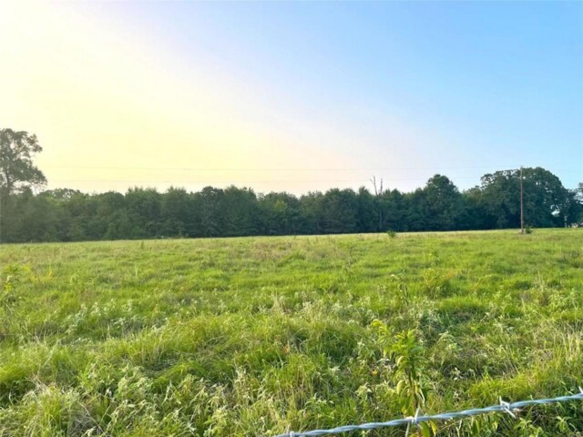 Picture of Residential Land For Sale in Avery, Texas, United States