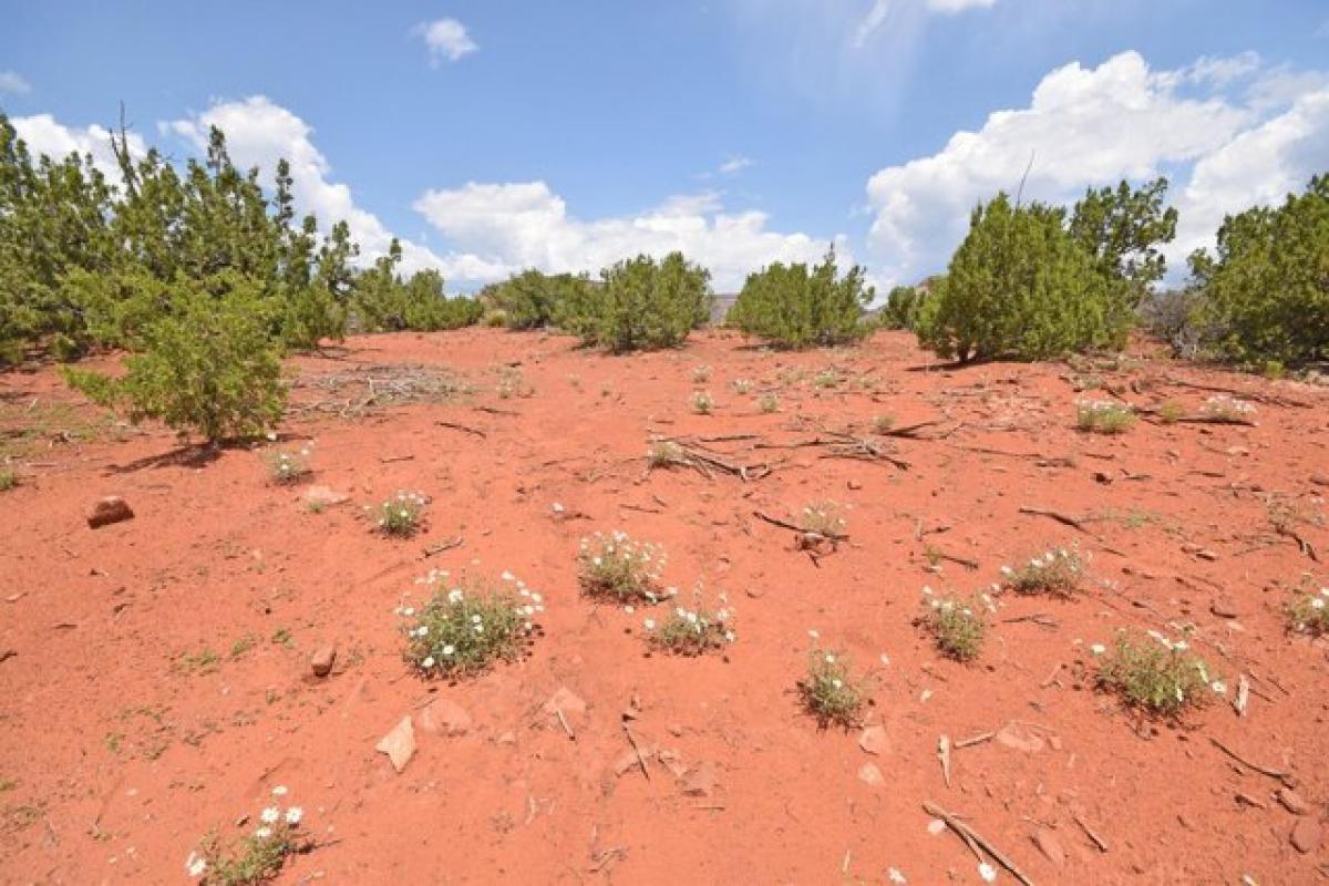 Picture of Residential Land For Sale in Jemez Pueblo, New Mexico, United States