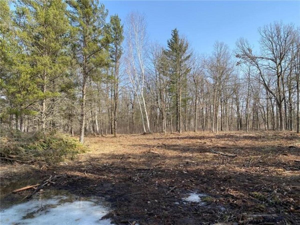 Picture of Residential Land For Sale in Villard, Minnesota, United States