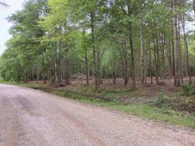 Residential Land For Sale in Kirbyville, Texas