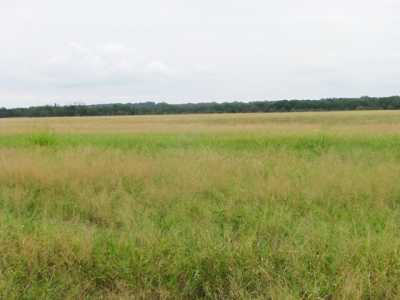 Residential Land For Sale in Hamilton, Texas