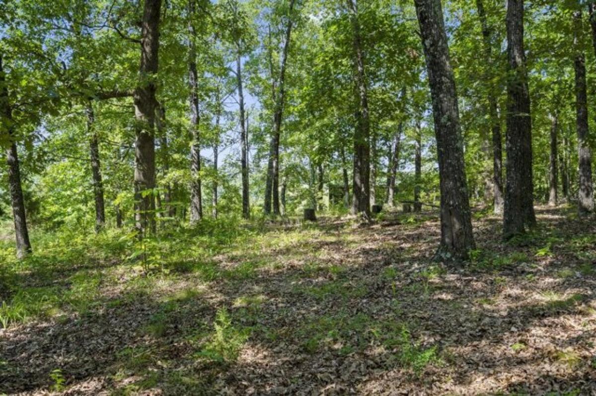 Picture of Residential Land For Sale in Highlandville, Missouri, United States