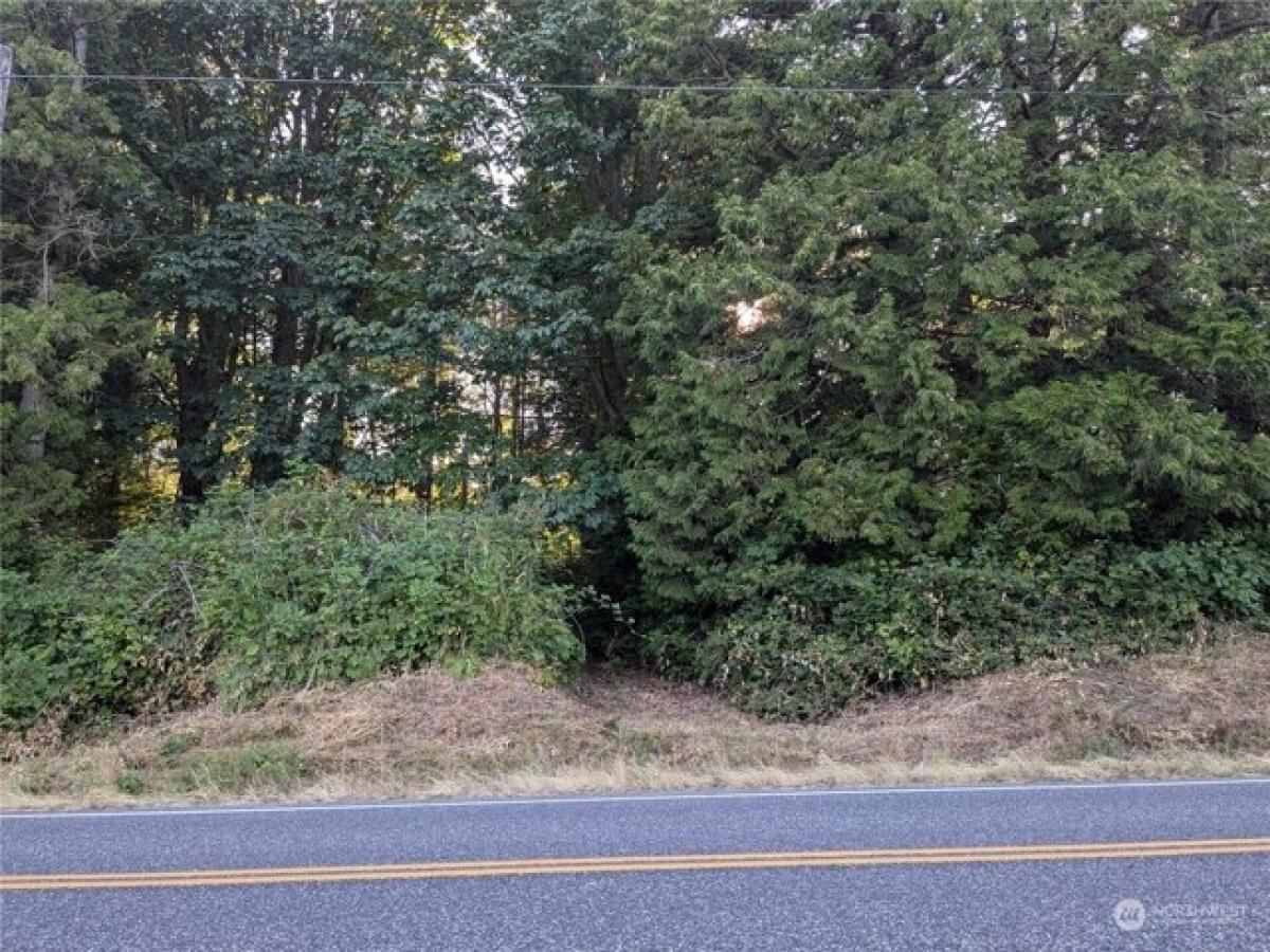 Picture of Residential Land For Sale in Ferndale, Washington, United States