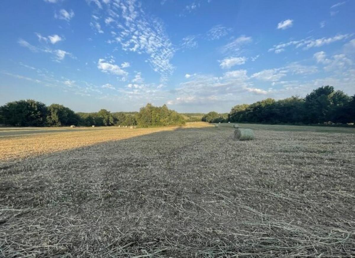 Picture of Residential Land For Sale in Aldrich, Missouri, United States