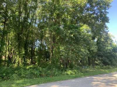 Residential Land For Sale in Gobles, Michigan