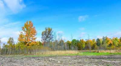 Residential Land For Sale in Hemlock, Michigan