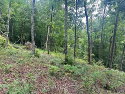 Residential Land For Sale in Burkesville, Kentucky