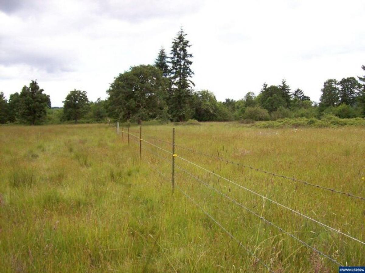 Picture of Residential Land For Sale in Lebanon, Oregon, United States