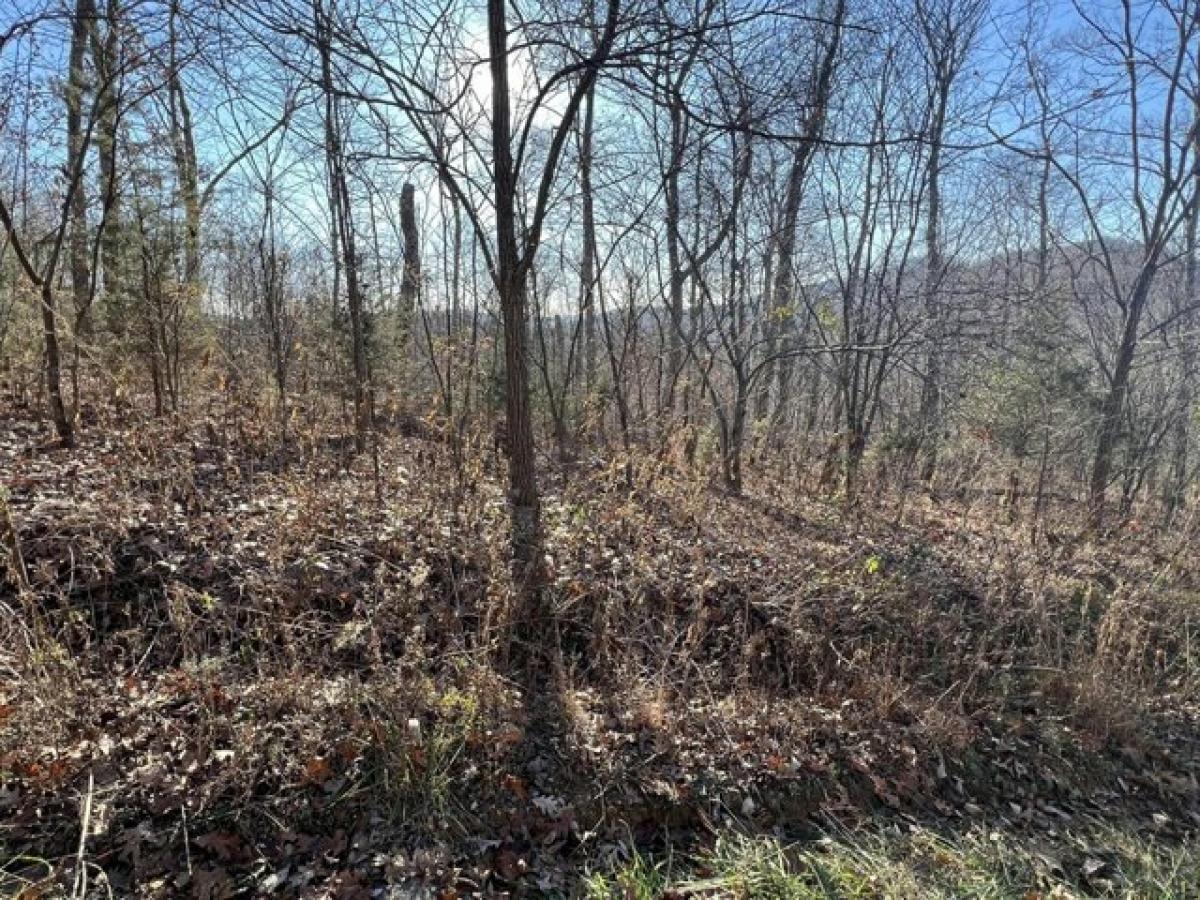 Picture of Residential Land For Rent in Somerset, Kentucky, United States