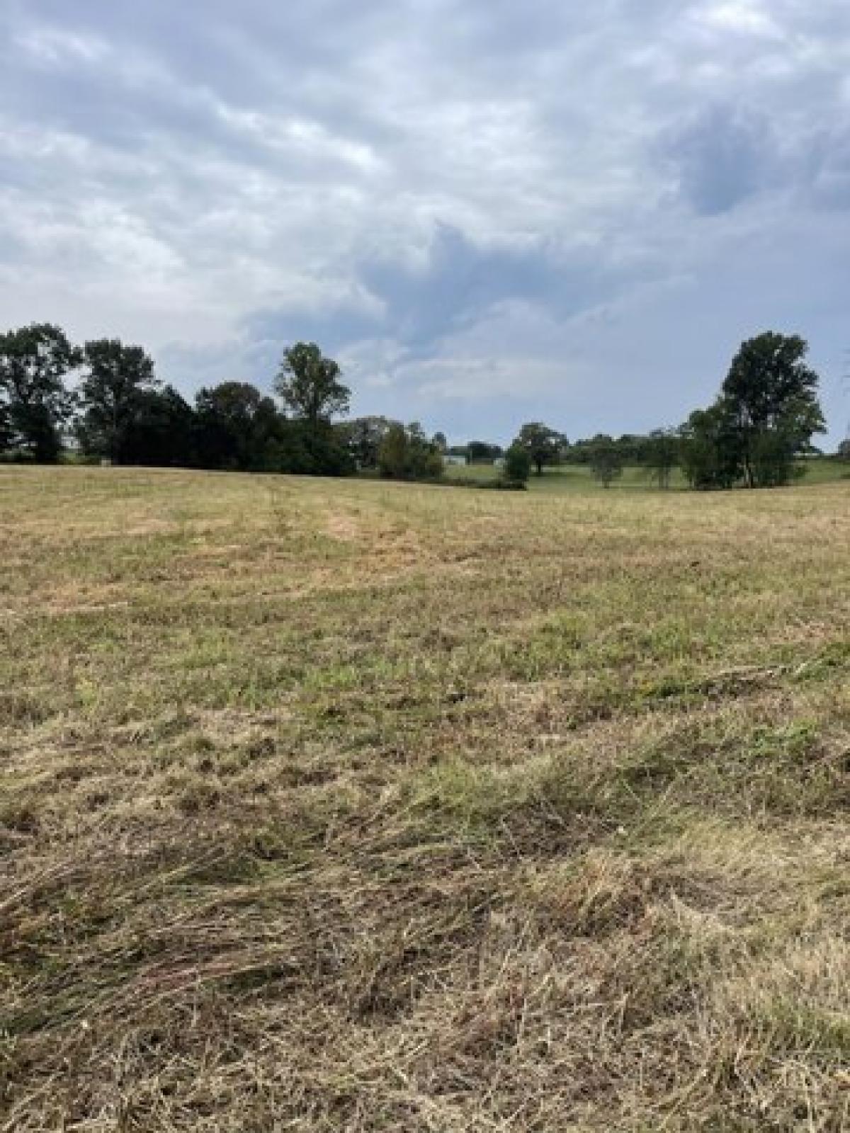 Picture of Residential Land For Sale in Lafayette, Tennessee, United States