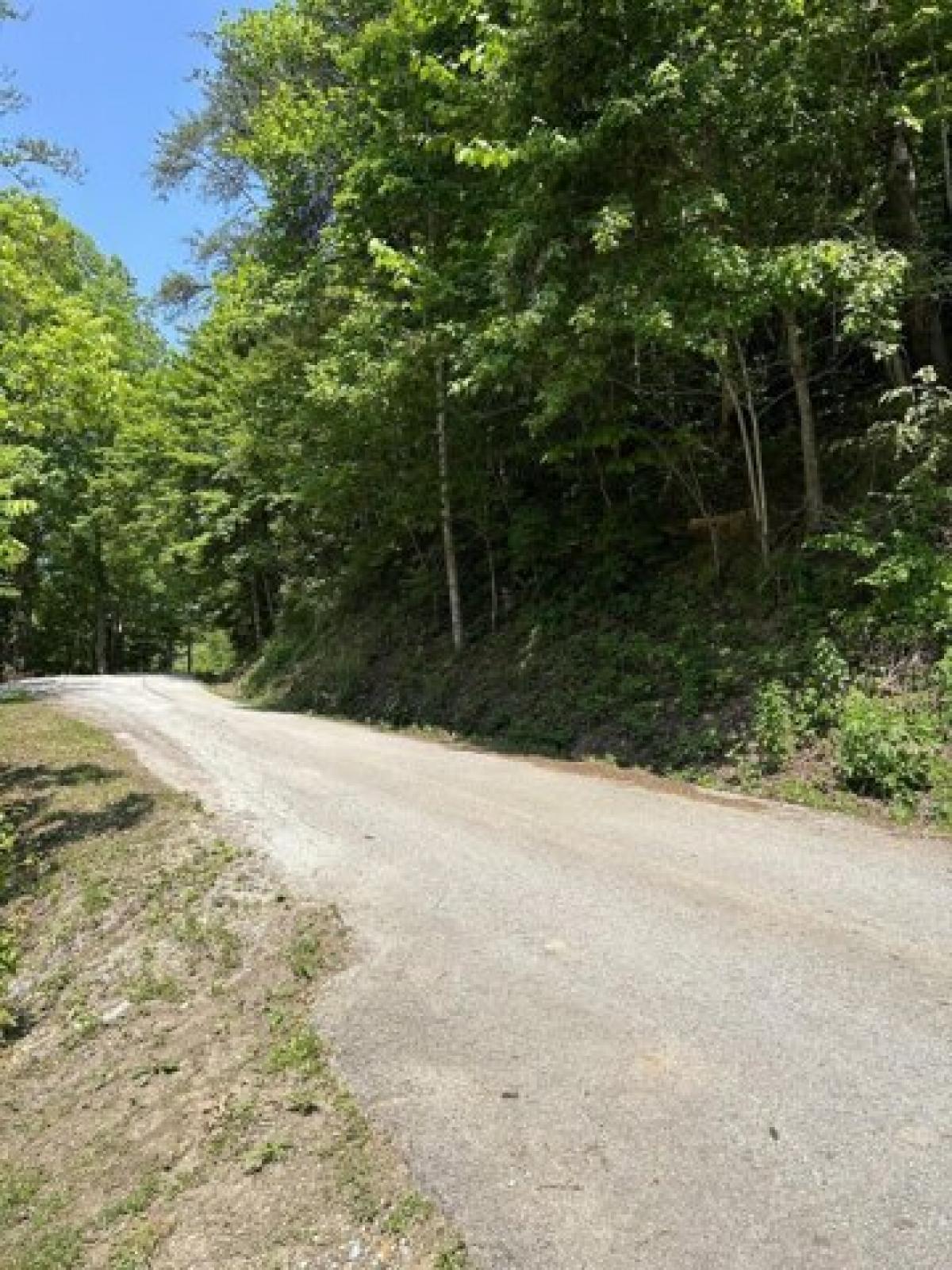 Picture of Residential Land For Sale in Manchester, Kentucky, United States