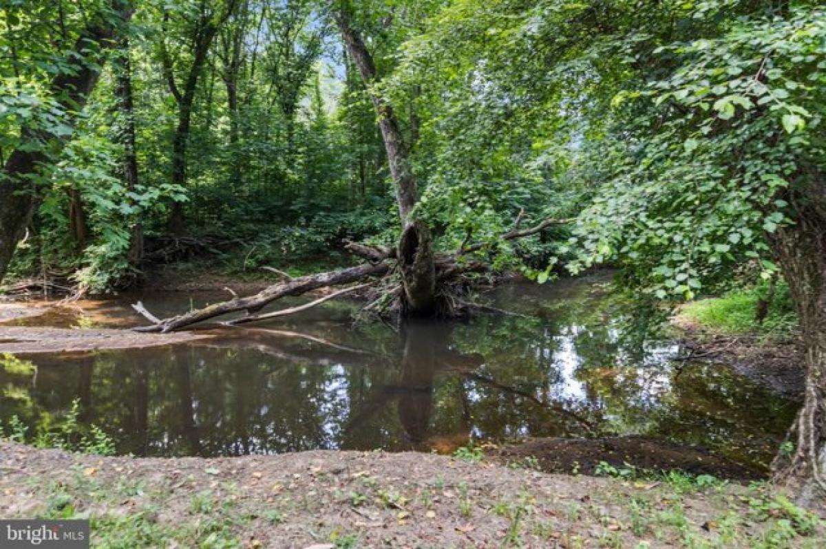 Picture of Home For Sale in Louisa, Virginia, United States