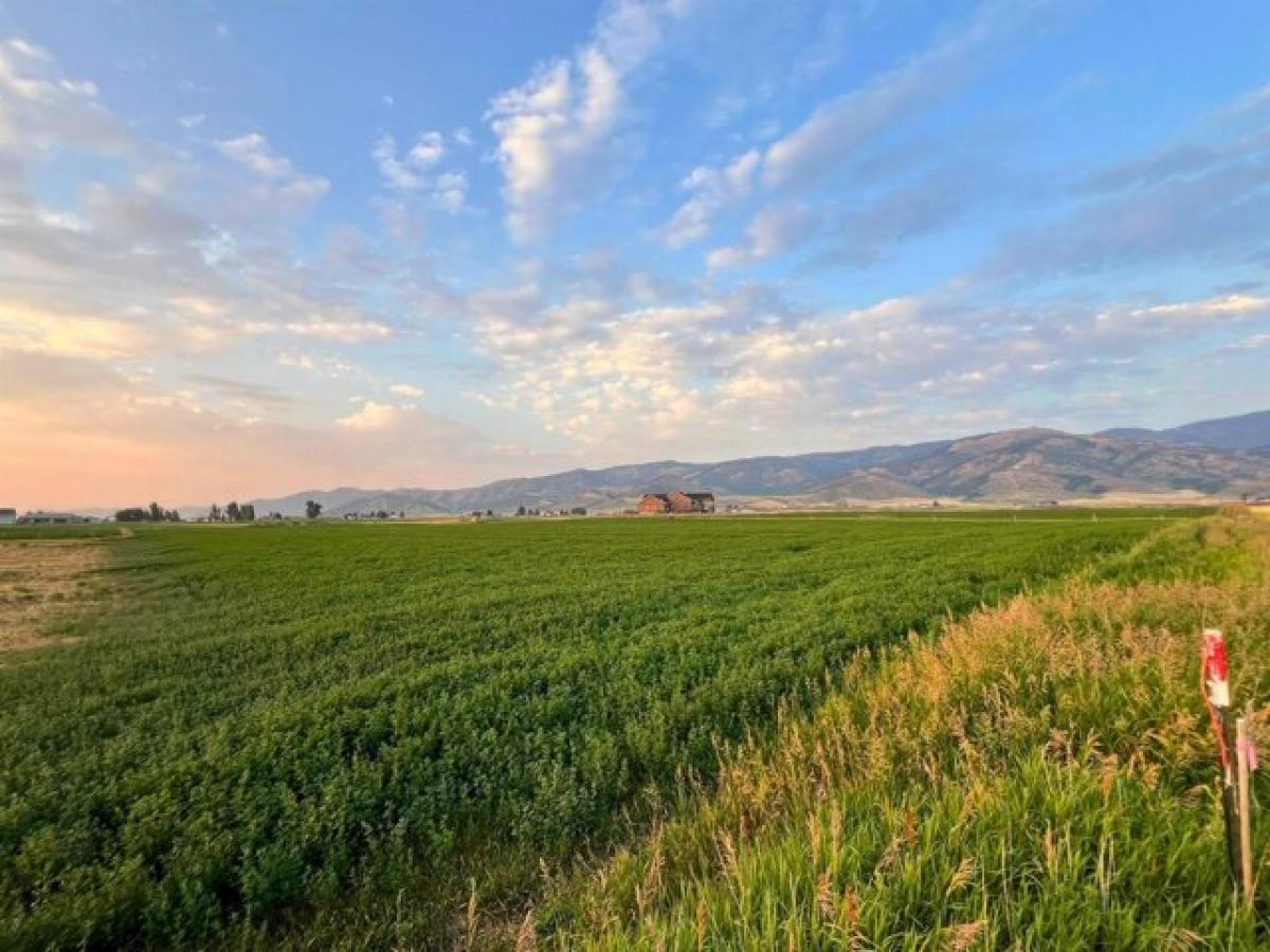 Picture of Residential Land For Sale in Grace, Idaho, United States