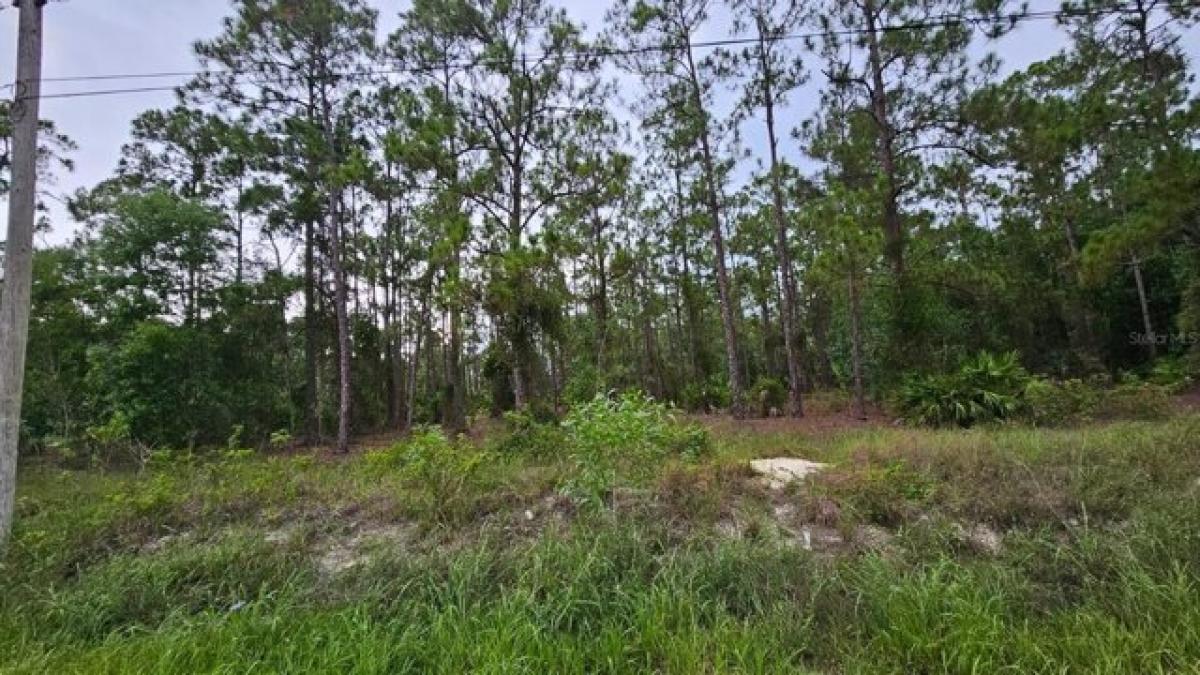 Picture of Residential Land For Sale in Indian Lake Estates, Florida, United States