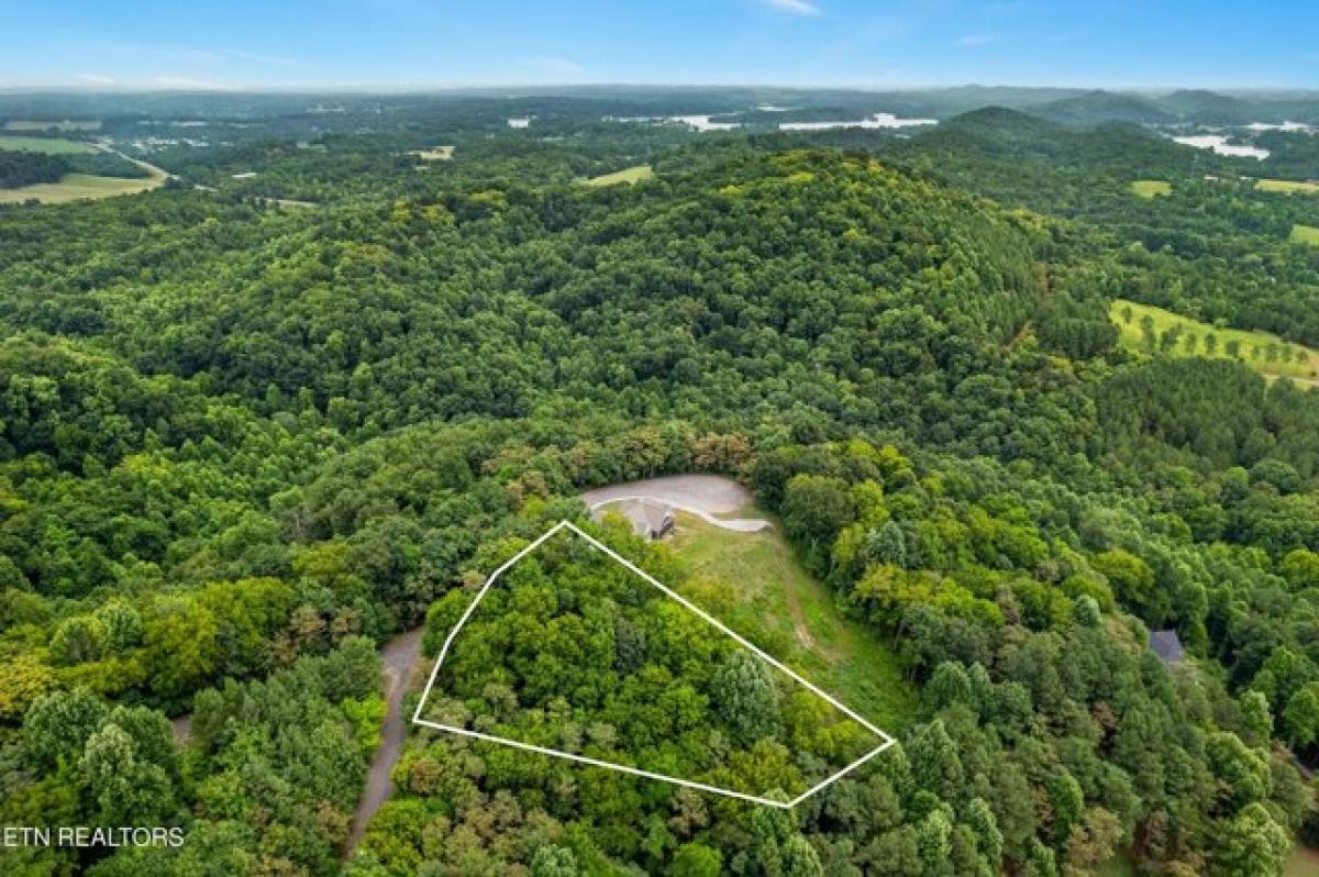 Picture of Residential Land For Sale in Vonore, Tennessee, United States