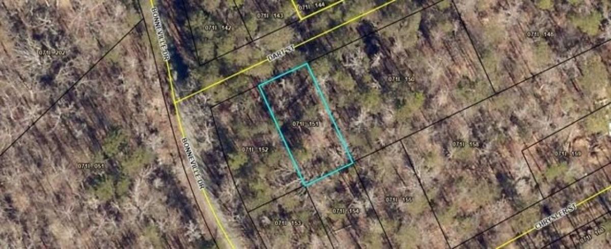 Picture of Residential Land For Rent in Martin, Georgia, United States