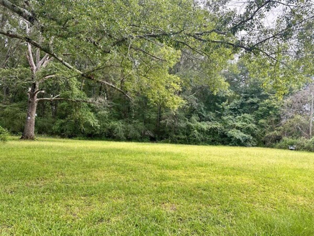 Picture of Residential Land For Sale in Grenada, Mississippi, United States