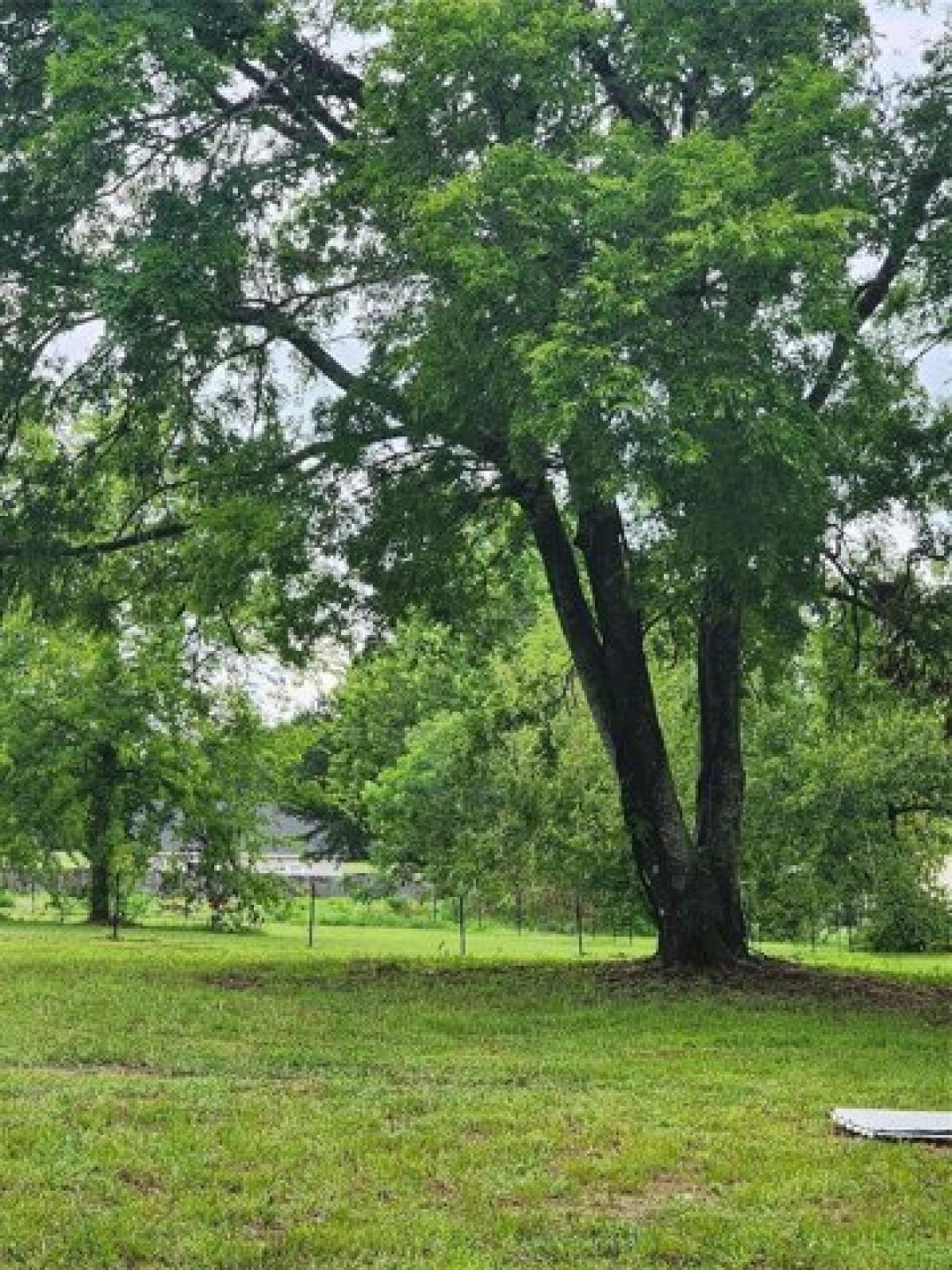 Picture of Residential Land For Sale in Van, Texas, United States