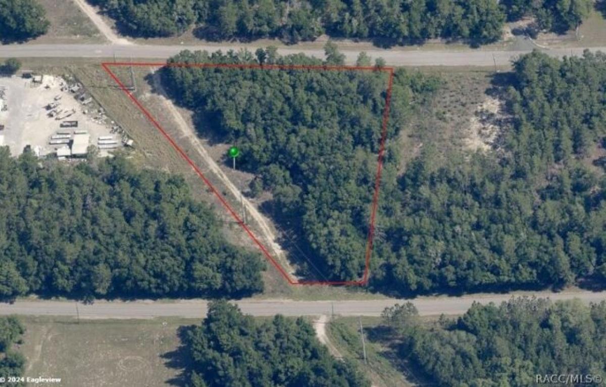 Picture of Residential Land For Sale in Hernando, Florida, United States