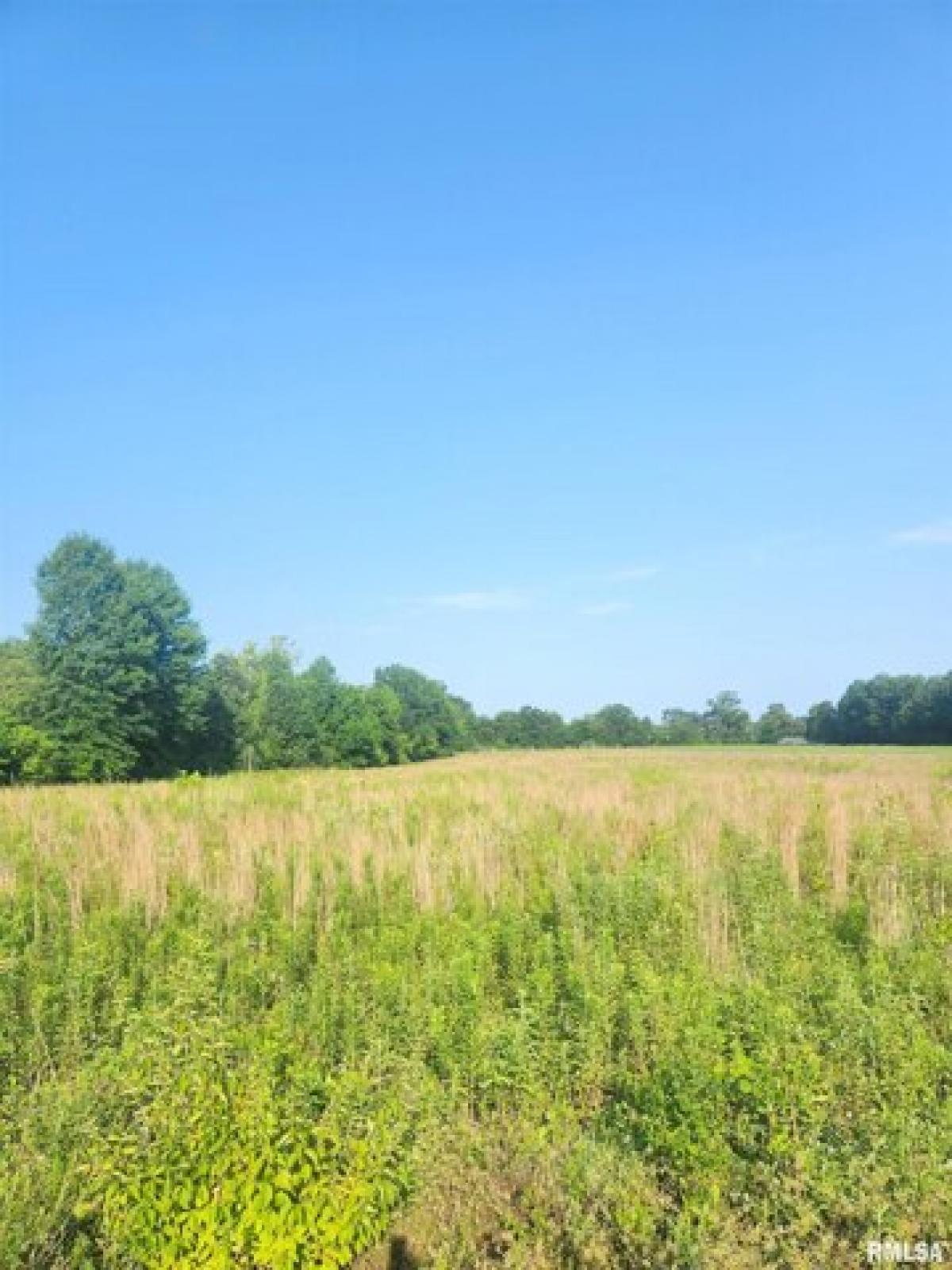 Picture of Residential Land For Sale in Carbondale, Illinois, United States